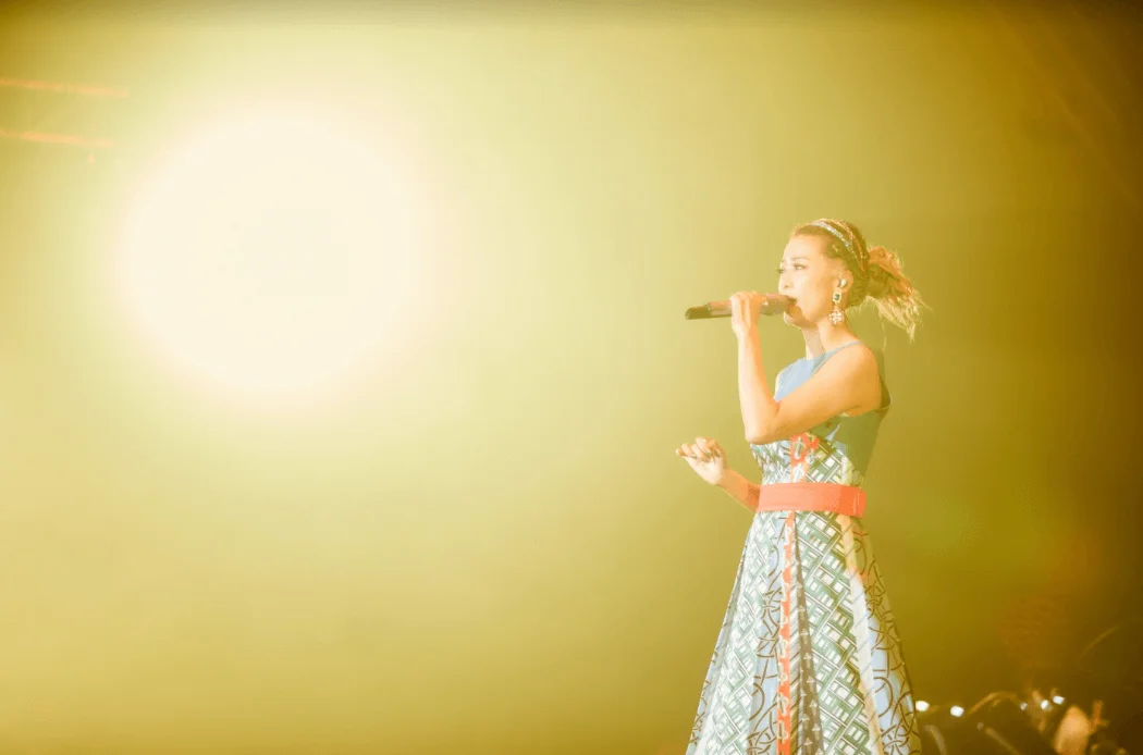 羅敏莊Live Alive演唱會